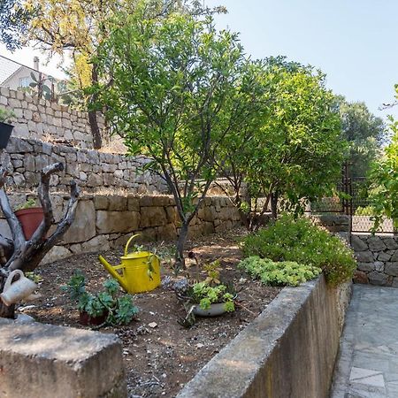 House Andrea Villa Lastovo Екстериор снимка